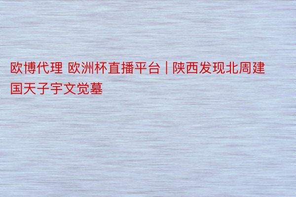 欧博代理 欧洲杯直播平台 | 陕西发现北周建国天子宇文觉墓